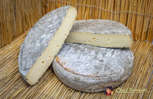 1/2 Saint Nectaire fermier 8 semaines d'affinage Excellence